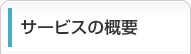 T[rX̊Tv